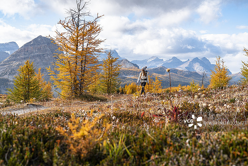 秋季班夫埃及湖附近希利山口徒步旅行图片素材