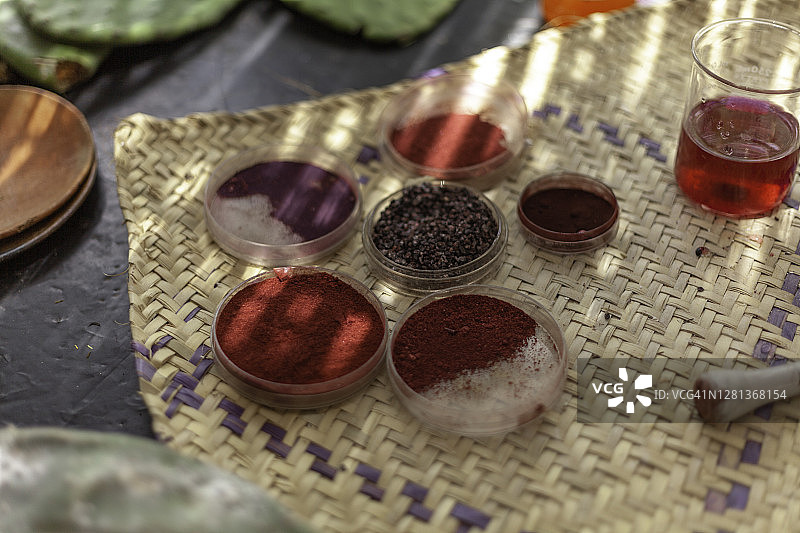 胭脂虫：一种天然色素图片素材