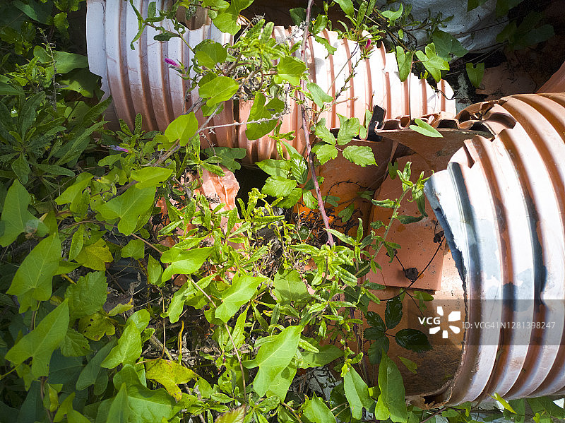 植被覆盖的破损塑料管道图片素材