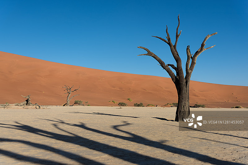 纳米比亚苏丝斯黎死亡谷沙丘图片素材