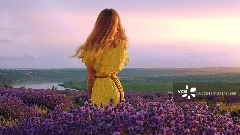 穿着黄色连衣裙的女人站在美丽的薰衣草地里图片素材
