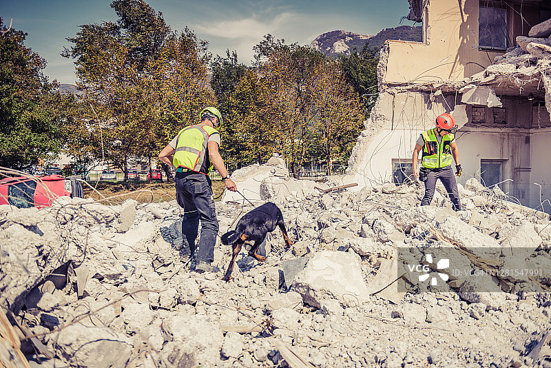 救援人员在搜救犬的帮助下进行搜索图片素材