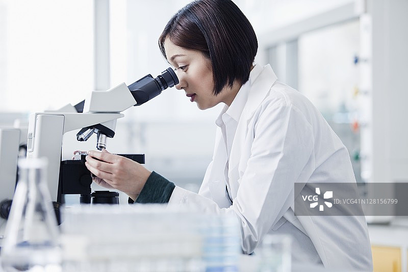 使用显微镜的实验室工作人员图片素材