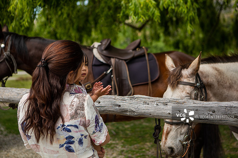 母亲在新西兰卡德罗纳向女儿展示马匹图片素材