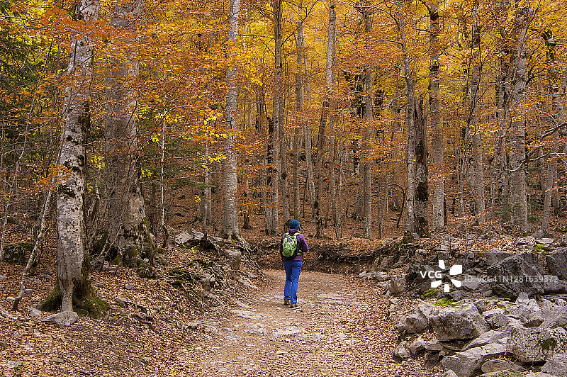 女人沿着西班牙阿拉贡韦斯卡托拉的奥尔德萨和佩尔迪多山国家公园行走图片素材