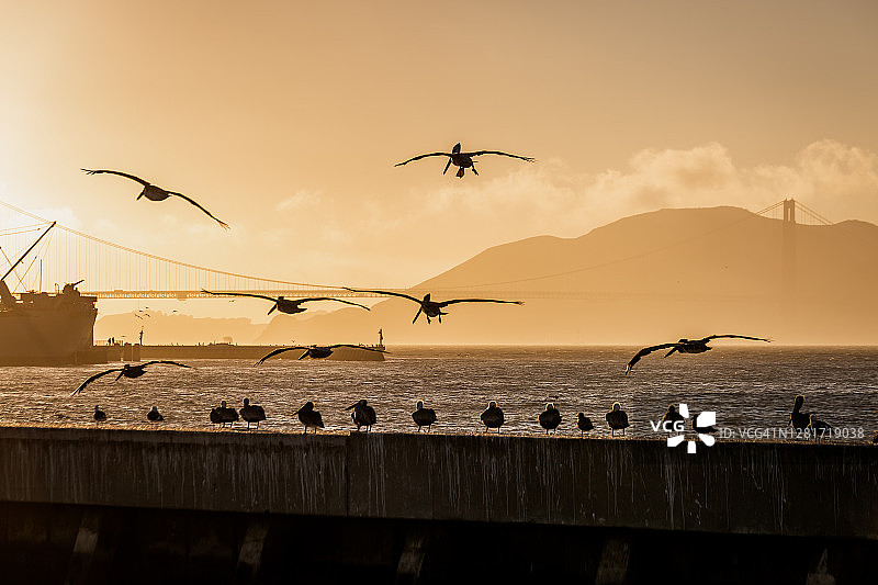 美国旧金山码头图片素材