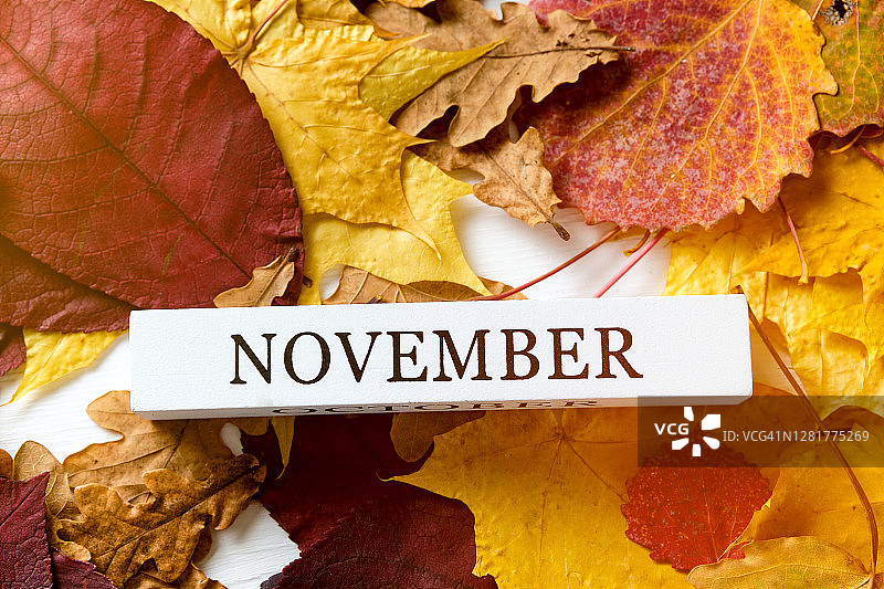 秋季落叶背景上的“November”字样，叶子颜色为黄色、橙色、红色和棕色图片素材