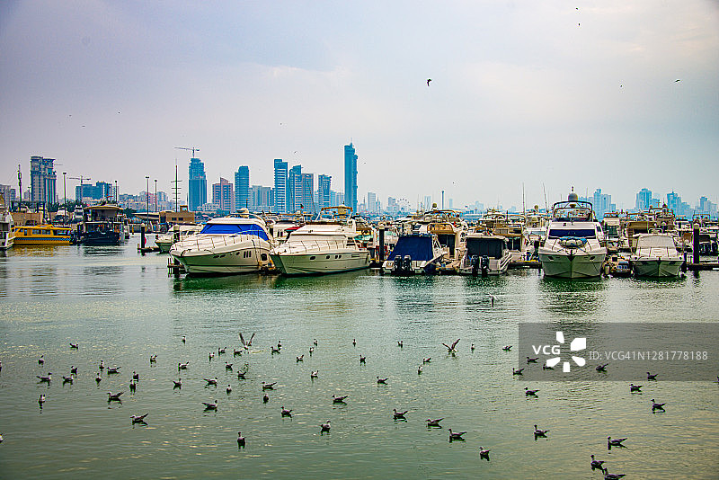 科威特市码头新月停靠的船只，海鸥在海洋上飞翔，科威特图片素材