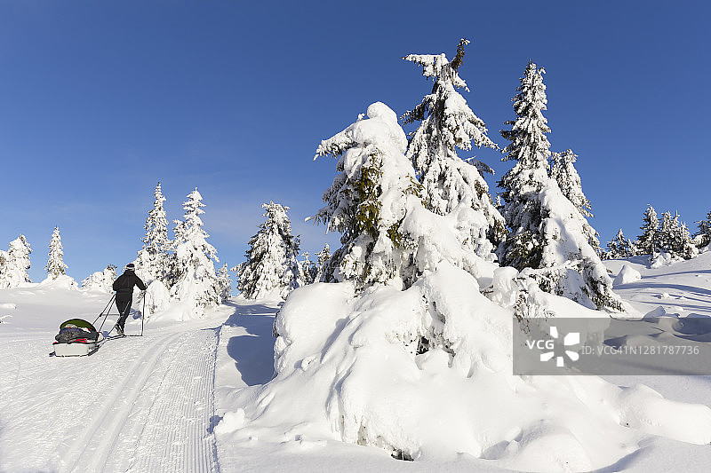 在挪威冬季仙境中拉着雪橇的越野滑雪者图片素材