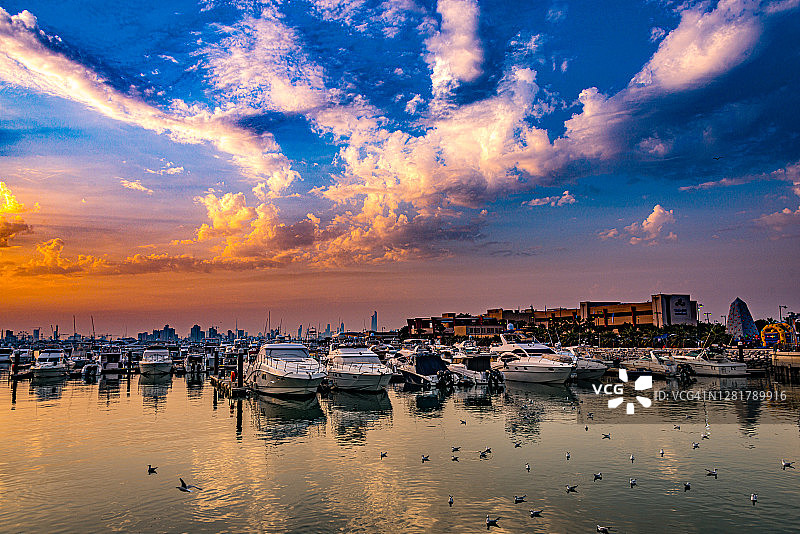 科威特市码头新月和金色日落上的海鸥图片素材