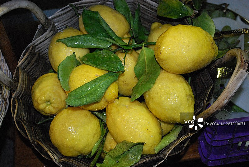 绿色柠檬叶图片素材