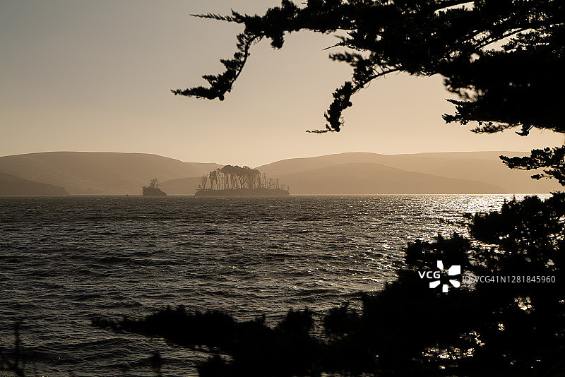 前景树木中看到的托马莱斯湾树木覆盖的岛屿图片素材