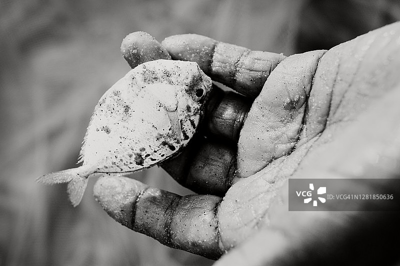 手中的小鱼图片素材