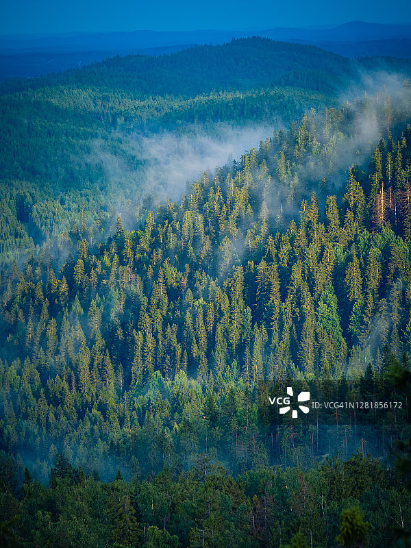 芬兰科利国家公园，雾气笼罩在树木繁茂的山坡上图片素材