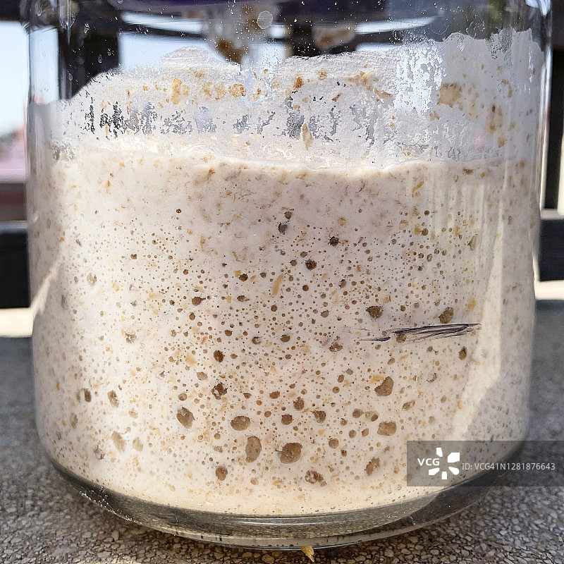 酵母发酵剂（母种）图片素材