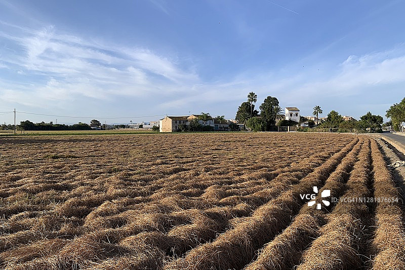 巴伦西亚的“果园”（农田）图片素材