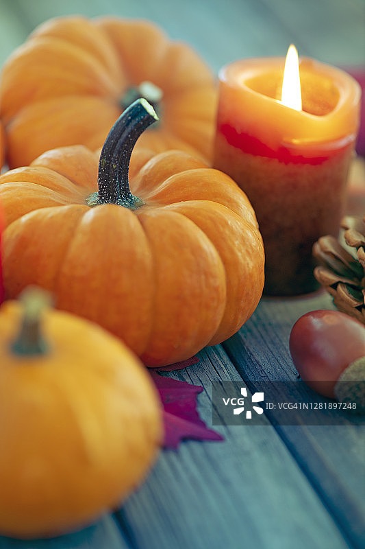 南瓜主题感恩节装饰图片素材