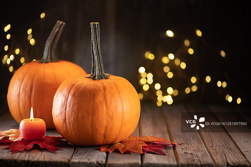 南瓜主题感恩节装饰图片素材