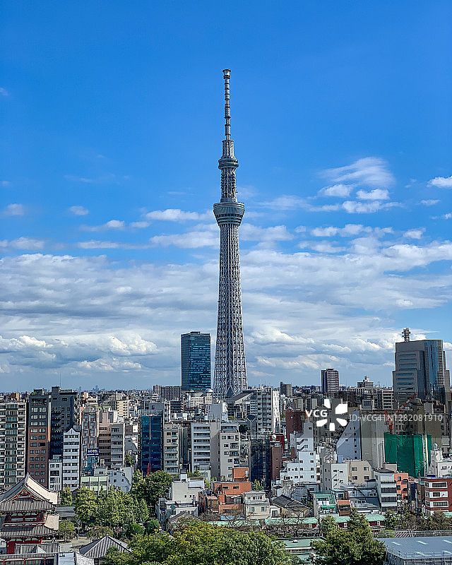 浅草寺的东京晴空塔图片素材