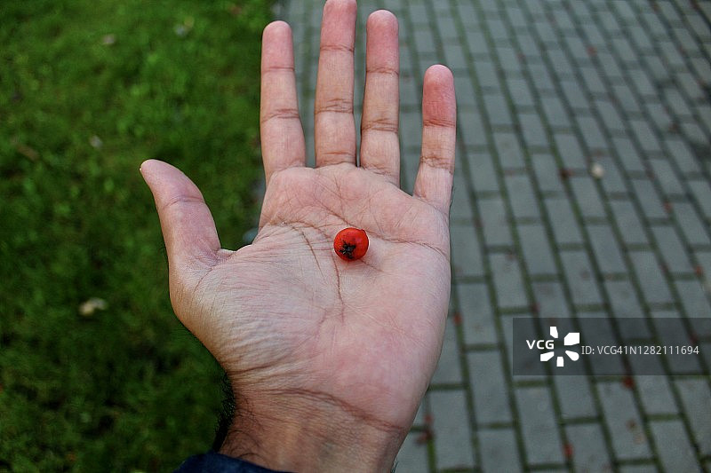 自然美景图片素材