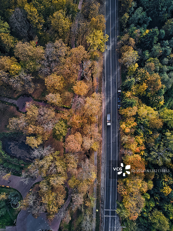 绿树成荫的道路图片素材