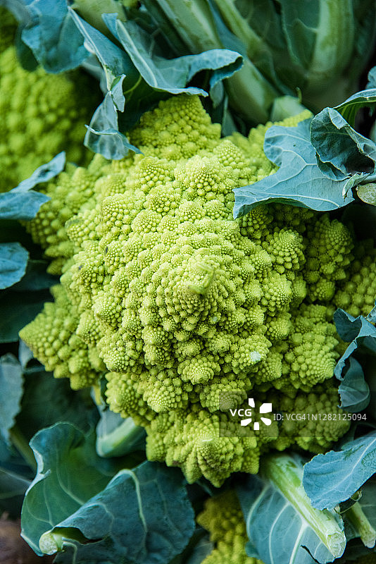 市场上出售的罗马花椰菜图片素材
