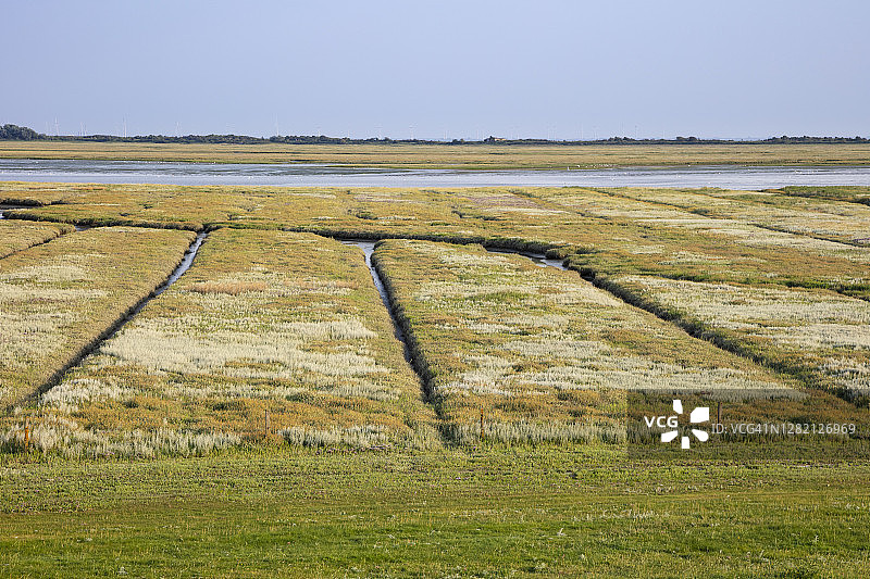 国家公园晴朗蓝天下绿色盐沼图片素材