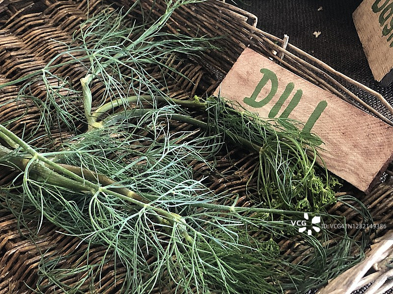 成束香草图片素材