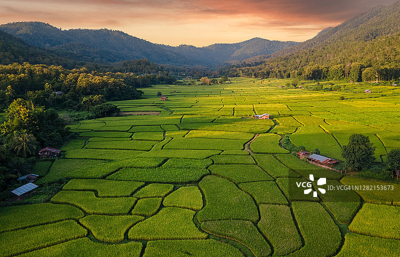 日落时分泰国南邦府稻田美景图片素材