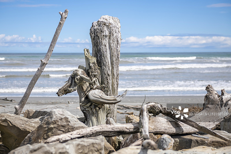 新西兰霍基蒂卡海滩上的浮木图片素材