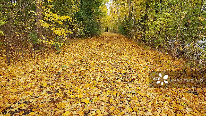 加拿大渥太华的秋色图片素材