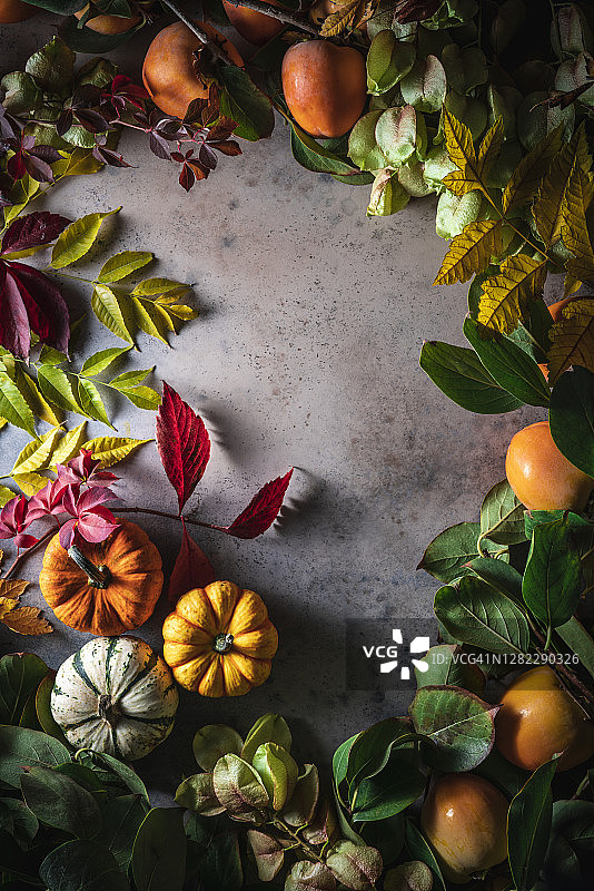 秋季背景，南瓜柿子树叶图片素材