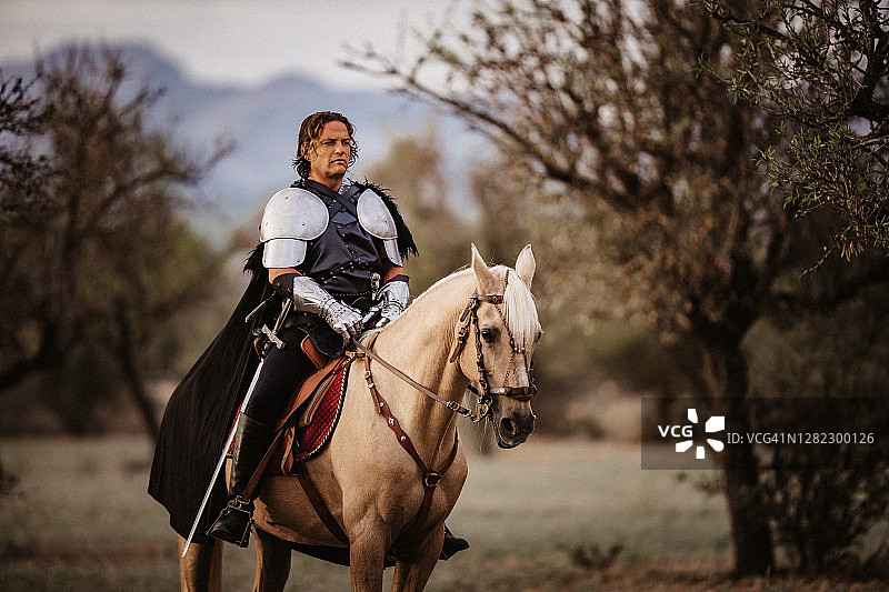 坐在帕洛米诺马上的中世纪奇幻骑士图片素材