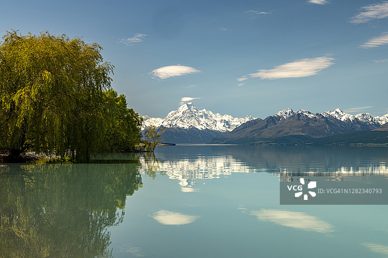 新西兰南岛普卡基湖中的大树倒影图片素材