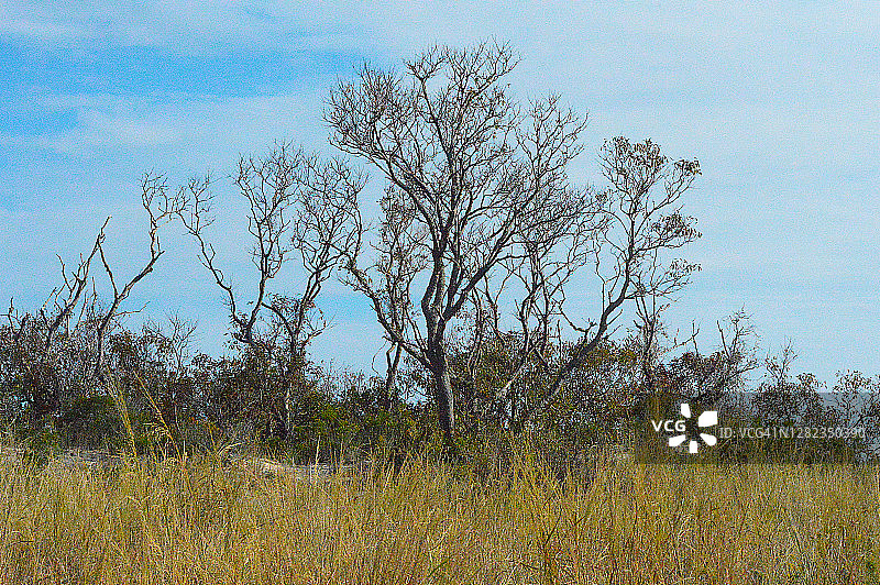 特拉华州亨洛彭角州立公园图片素材