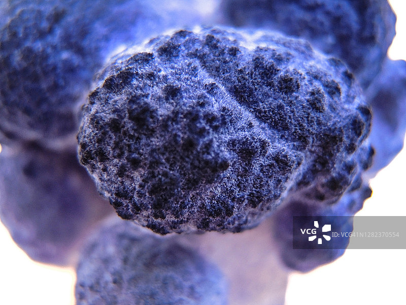 在家进行晶体生长实验图片素材