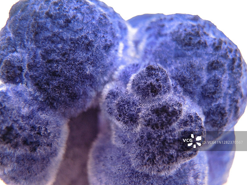 在家进行晶体生长实验图片素材