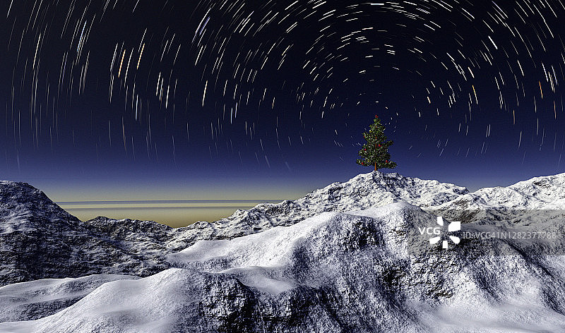 夜晚的圣诞树图片素材