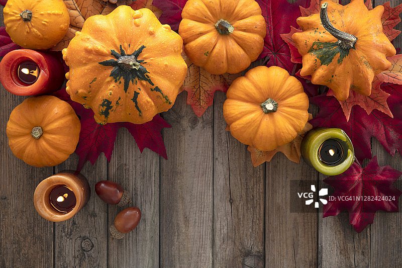 南瓜主题感恩节装饰图片素材