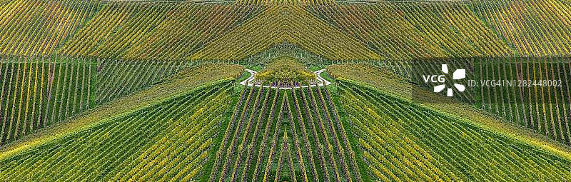 德国巴登-符腾堡州杜尔巴赫的秋季葡萄园图片素材