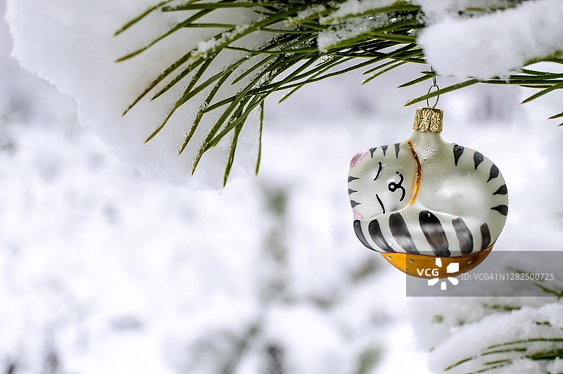 雪松枝冬季森林中睡猫圣诞树玩具背景，留白图片素材