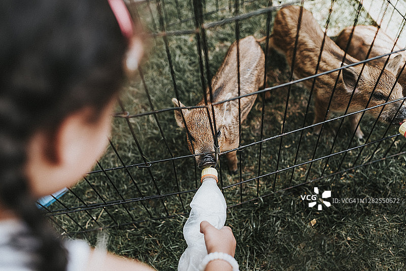 儿童（5-6岁）喂小猪图片素材