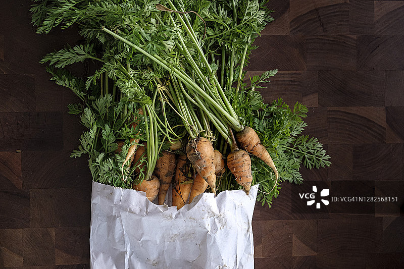 刚从农场采摘的迷你胡萝卜图片素材