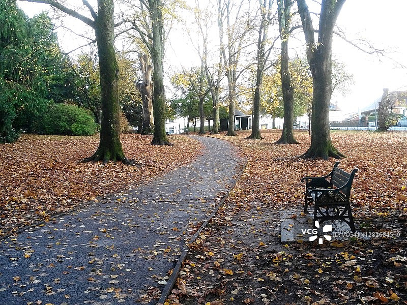 比奇伍德公园图片素材