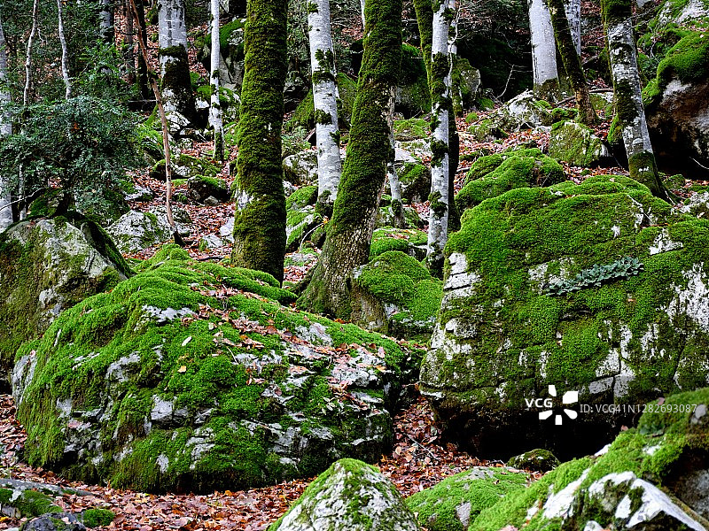 秋季的奥尔德萨山谷图片素材