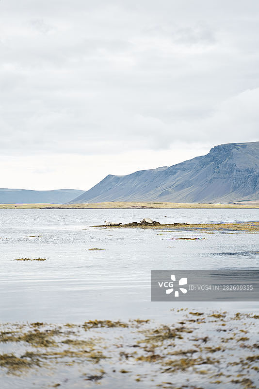 阴天秋日山地海岸风光图片素材