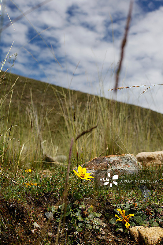 南美洲的户外风光图片素材