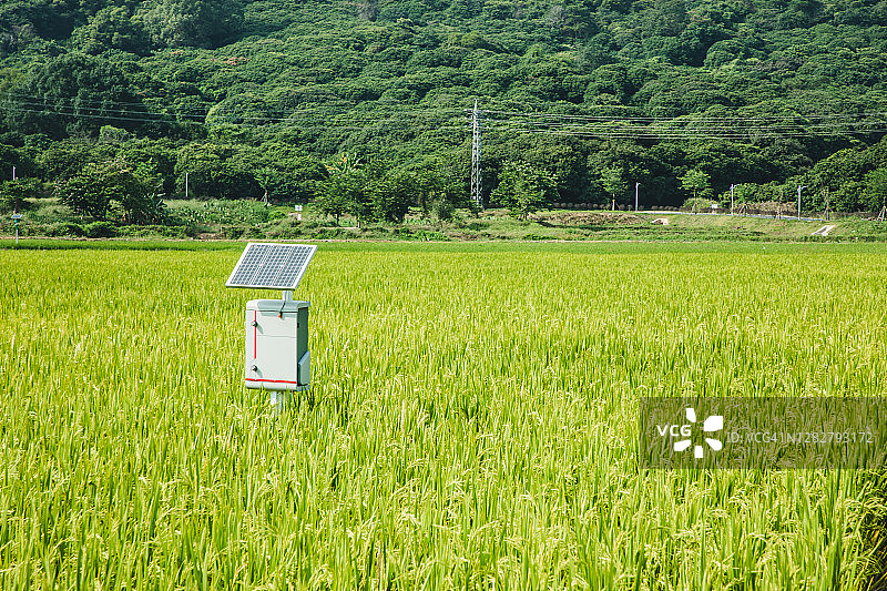 稻田里太阳能监控设备图片素材