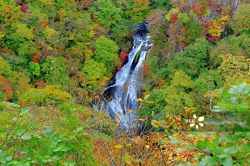 日本日光雾降瀑布的秋叶颜色图片素材