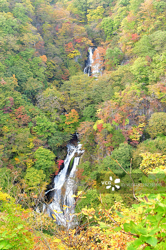 日本日光雾降瀑布的秋叶颜色图片素材